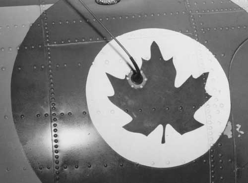 avenger_ leadin2a.jpg